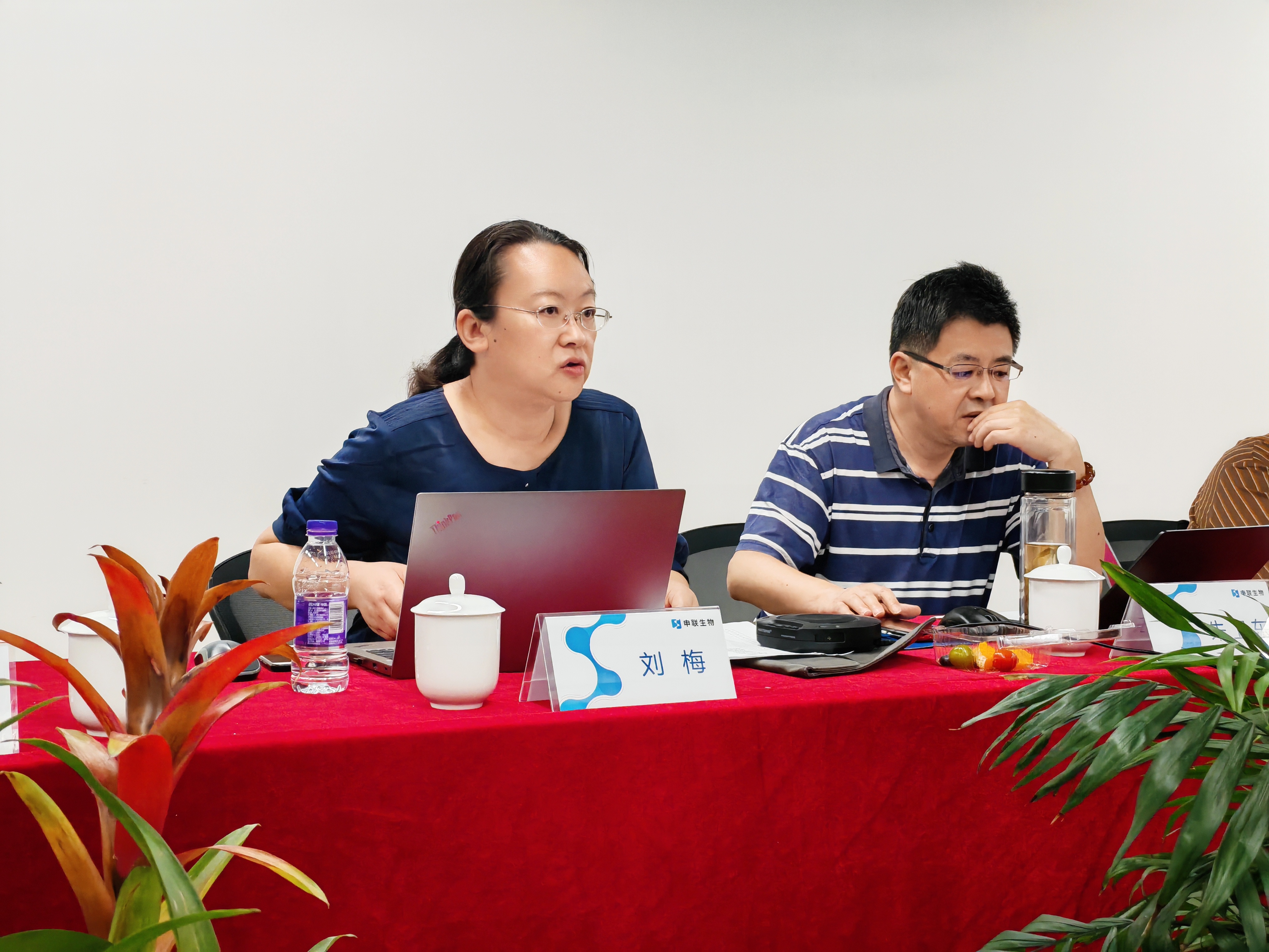 凯发旗舰厅_凯发ag旗舰厅