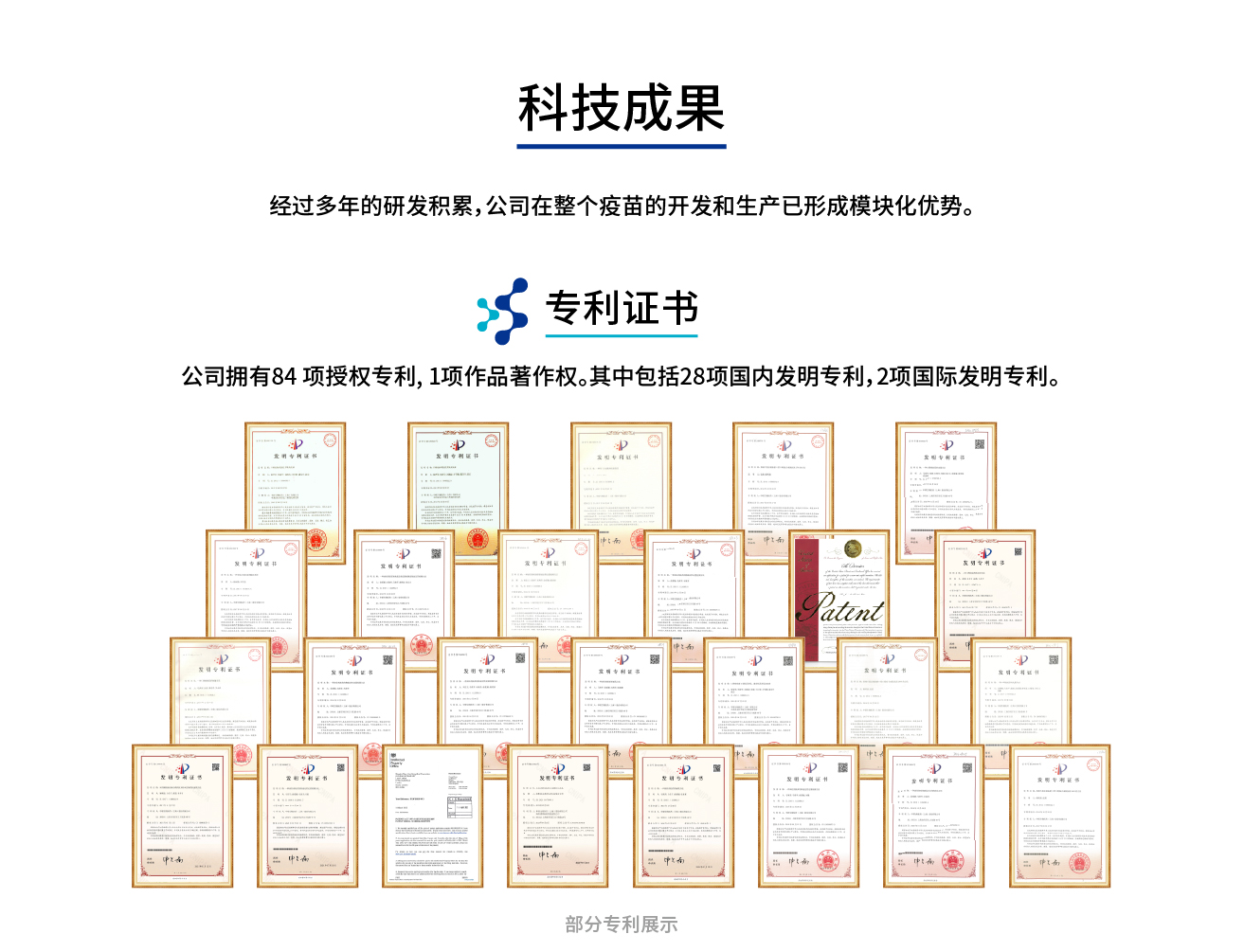 资源 1-100.jpg